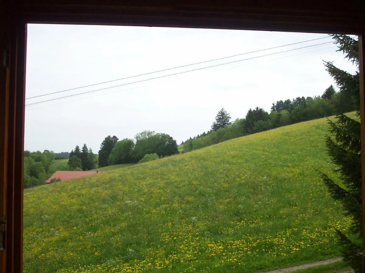 Fewo Am Skihang / Bergwiese Missen-Wilhams Apartment